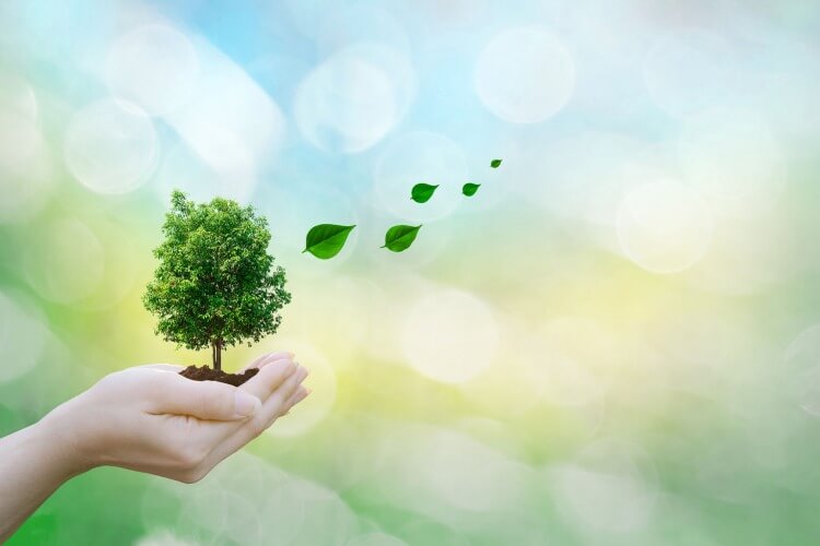 ¿Qué es BREEAM y LEED?